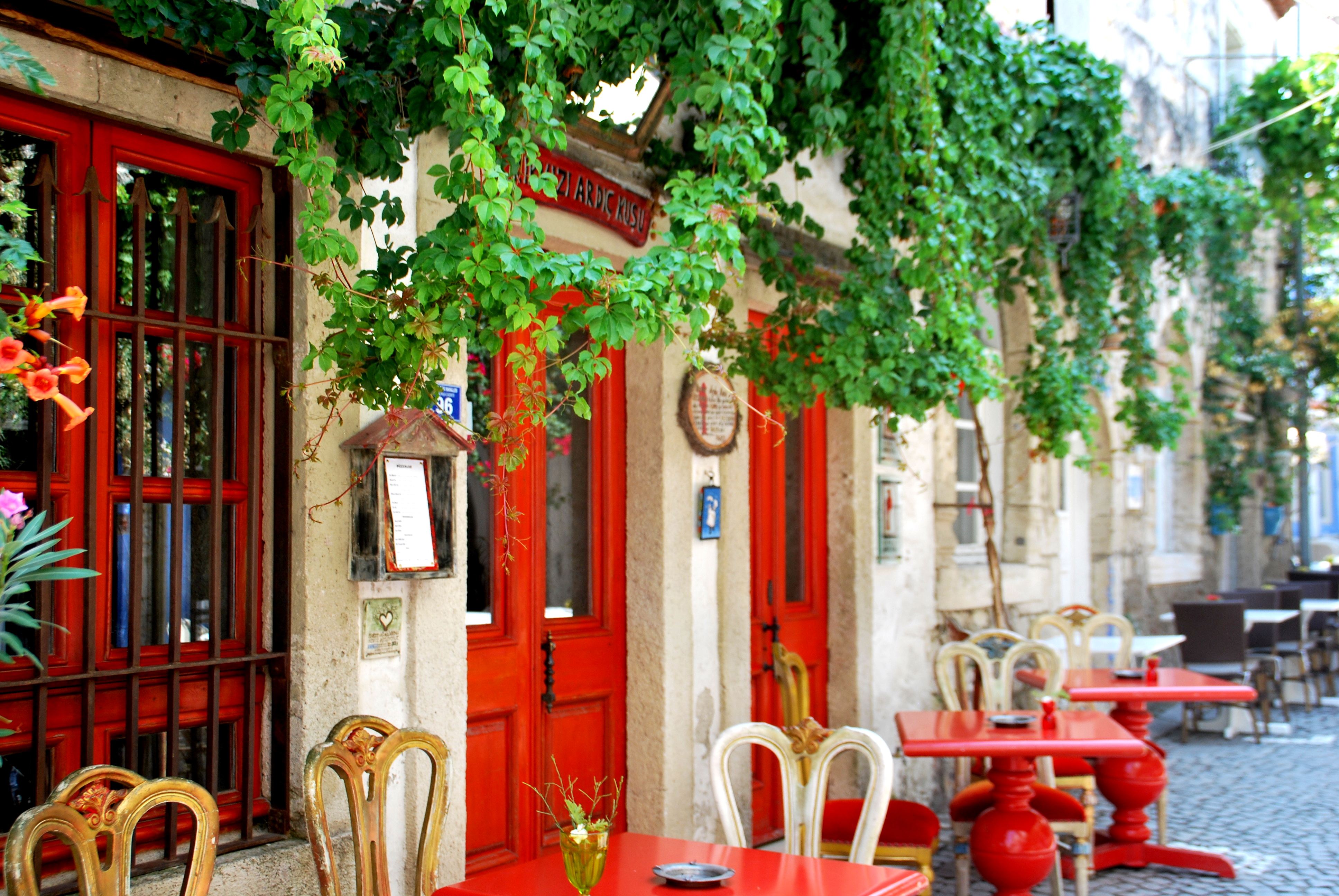 Red café tables and doors beneath leafy vines along a stone street in Alaçatı.
