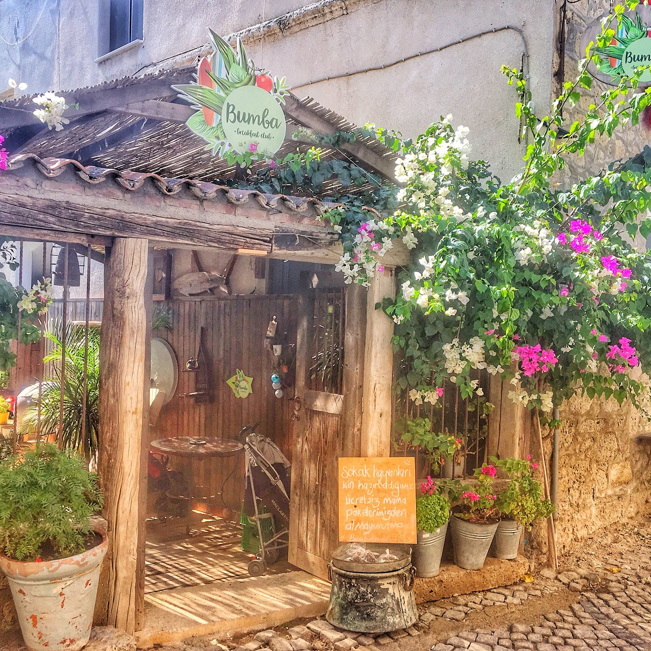 Garteneingang des Bumba Breakfast Club mit Bougainvillea