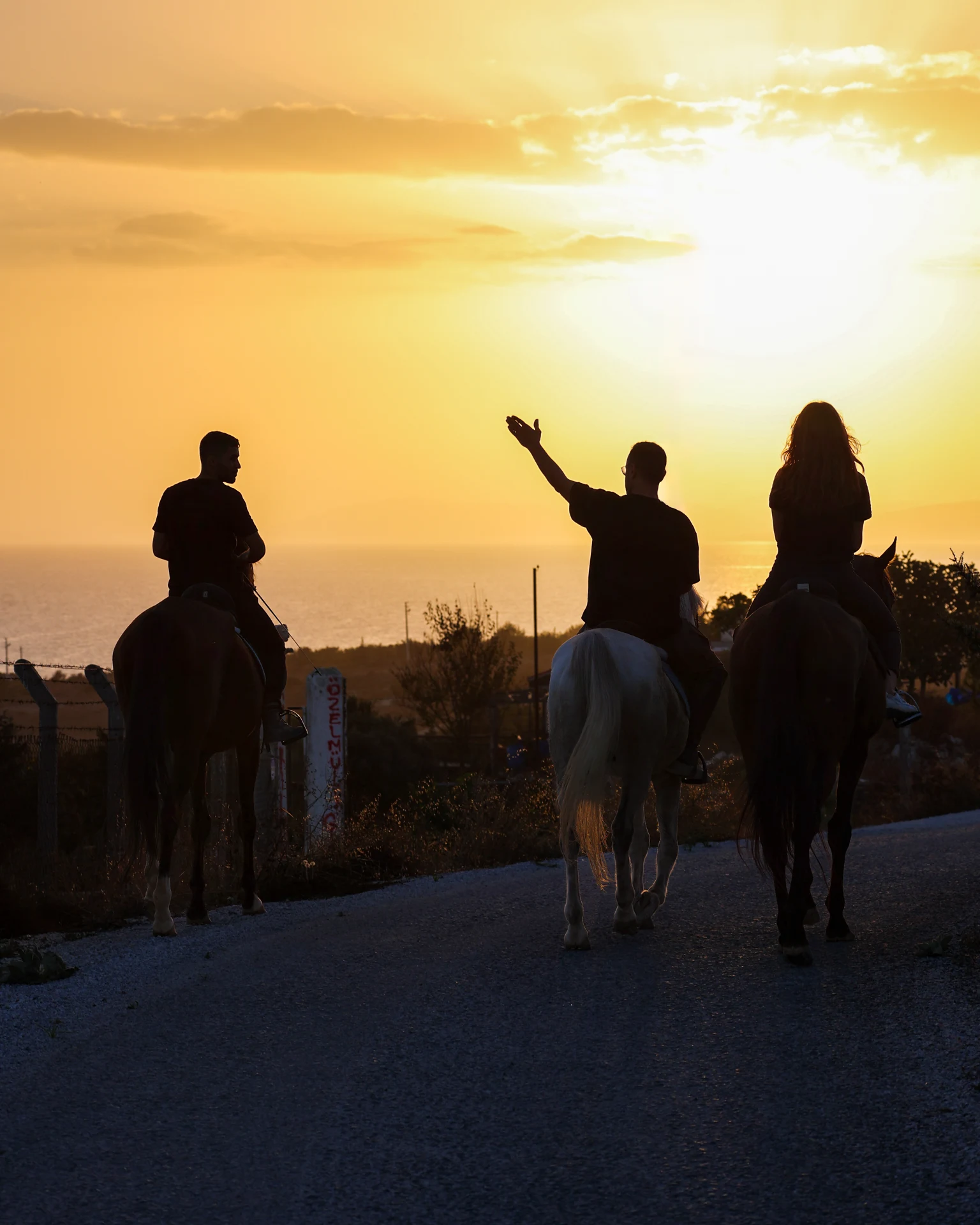 Çeşme Binicilik Kulübü — Horseback outing at sunset